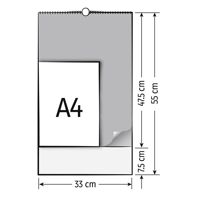 77906g.jpg