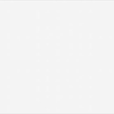 88100.jpg
